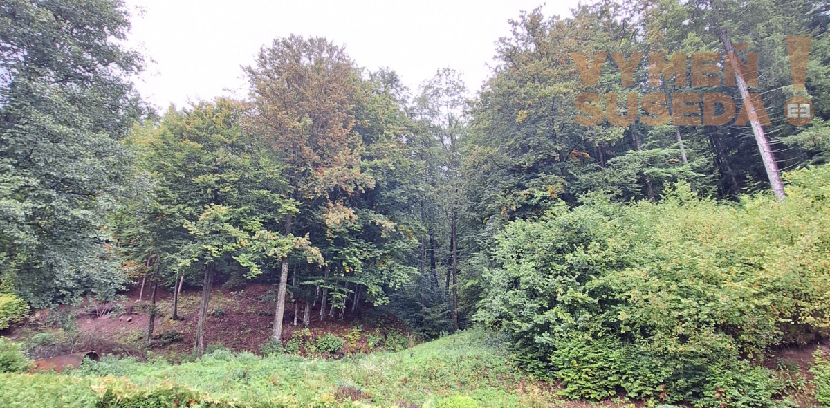 VYMEŇ SUSEDA! - VÝNIMOČNÁ 4 IZB. CHATA - NOVOSTAVBA s úžasnou atmosférou, TÁLE – NÍZKE TATRY, BYSTRÁ.