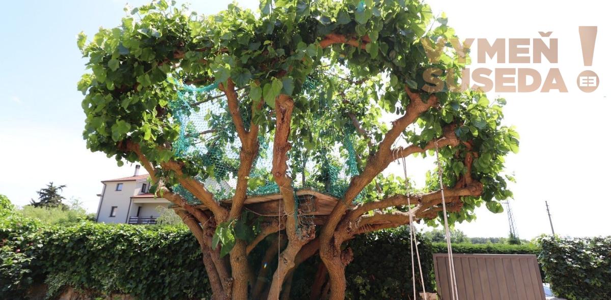 ESTATE INVEST - Na predaj apartmánový dom, Chorvátsko Umag – Petrovia