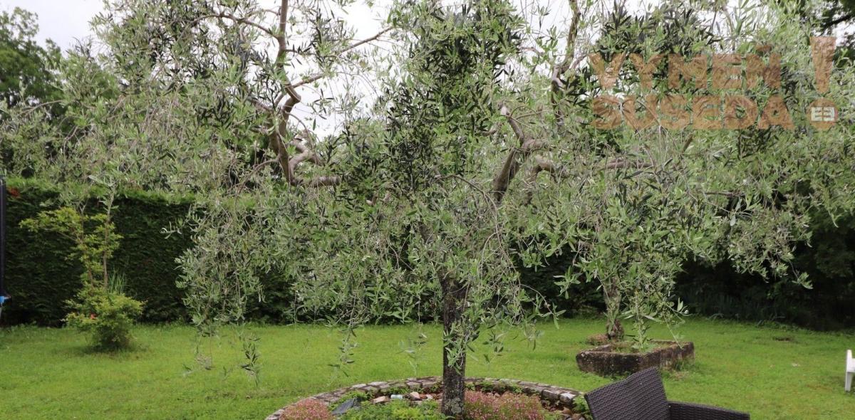 ESTATE INVEST - Na predaj rodinná vila, Chorvátsko - Umag časť Barboj