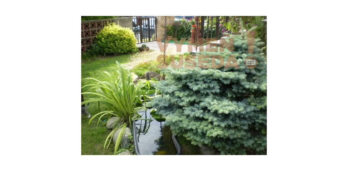 PREDANÉ – PONÚKAME NA PREDAJ VÝNIMOČNÝ 5 IZB. RODINNÝ DOM, BERNOLÁKOVO