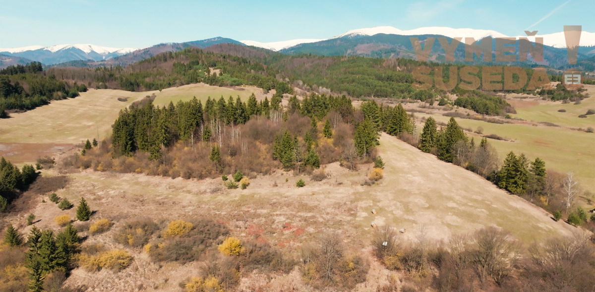 ESTATE INVEST - Výnimočný stavebný pozemok o výmere 110 271 m2 v obci Dolná Lehota