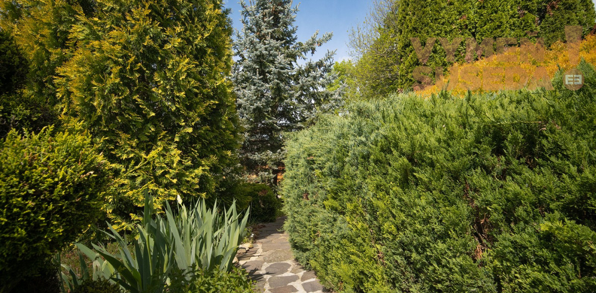 PREDANÉ! – Priestranný 6 izbový rodinný dom s úžasným pozemkom a privátnou ulicou, Borinka