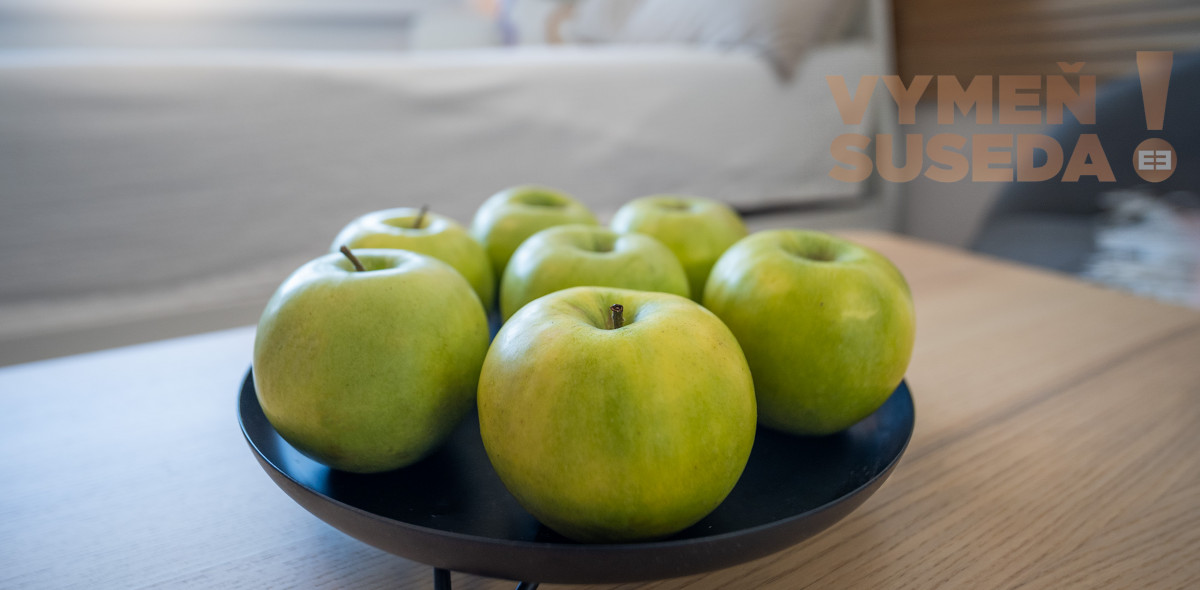 PREDANÉ - VÝNIMOČNÝ 1 IZB. BYT S LOGGIOU PO PRÉMIOVEJ REKONŠTRUKCII, ROVNIANKOVA ul., BA V. – PETRŽALKA