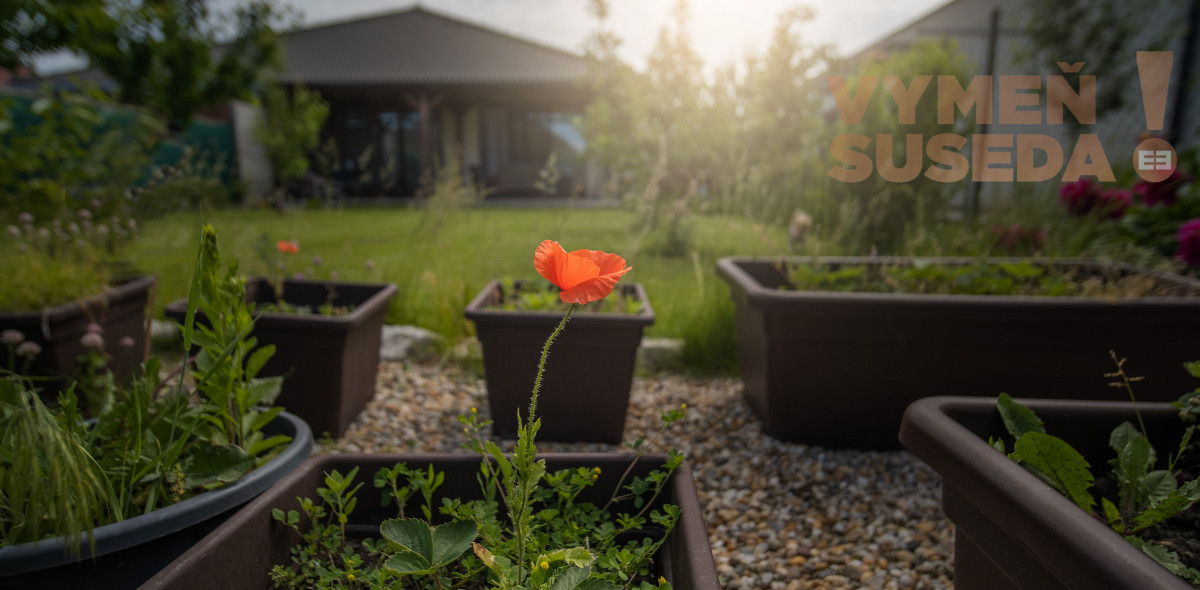 PREDANÉ – 4 izb. rodinný dom 97m2 na 3 á pozemku len 10km od Bratislavy v Miloslavove, Muškátová ul.