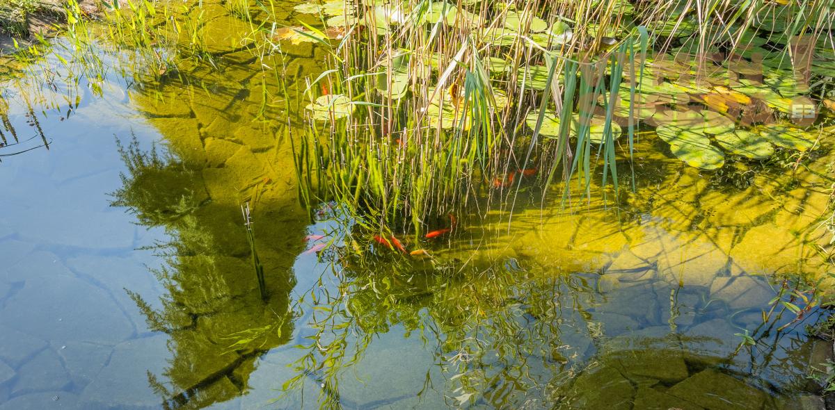 VYMEŇ SUSEDA! – PONÚKAME NA PREDAJ VÝNIMOČNÝ 5 IZBOVÝ RODINNÝ DOM, STUPAVA