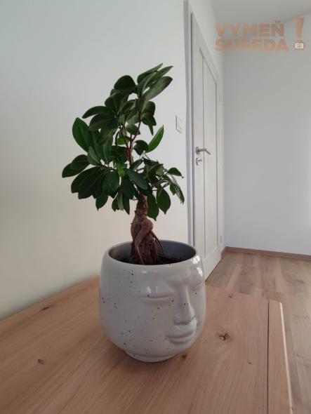 PRENAJATÉ – NA PRENÁJOM KRÁSNY 2. IZB. BYT PO KOMPLETNE REKONŠTRUKCII, MEDVEĎOVEJ UL., BA V. PETRŽALKA