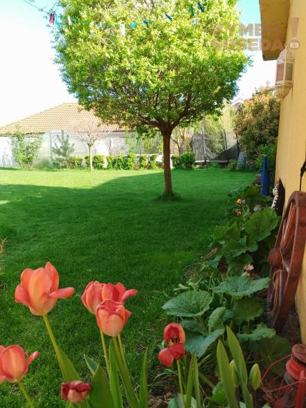 VYMEŇ SUSEDA - Na predaj moderný 4-izbový rodinný dom v Dunajskej Lužnej – ideálne miesto pre vašu rodinu!