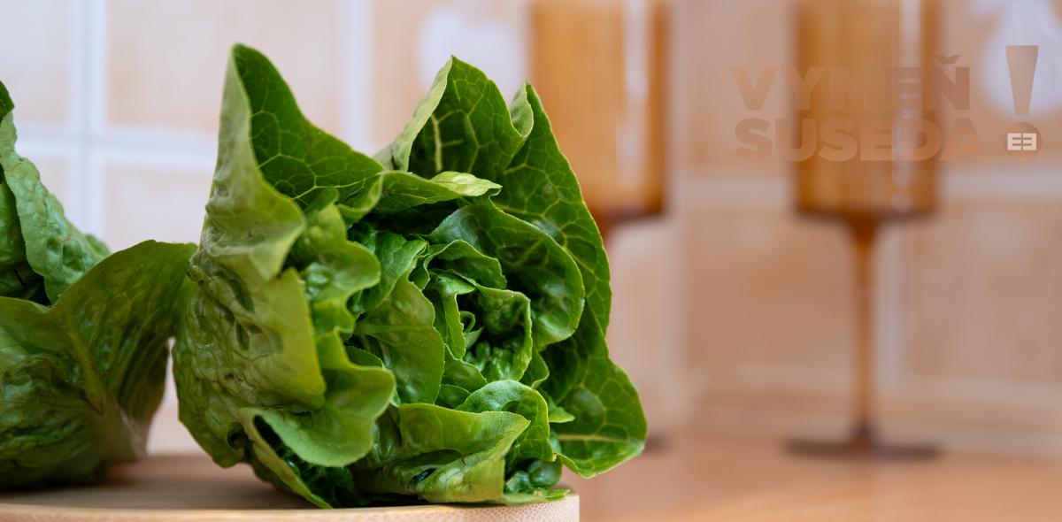 VYMEŇ SUSEDA ! - VÝNIMOČNÝ 3 IZB. ZREKONŠTRUOVANÝ BYT s LOGGIOU, VYHĽADÁVANÁ LOKALITA PETRŽALKA, UL. ALŽBETY GWERKOVEJ, BA V.