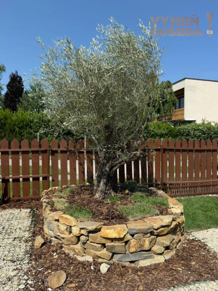 VYMEŇ SUSEDA – Na predaj 5 izbový rodinný dom v Ivanke pri Dunaji