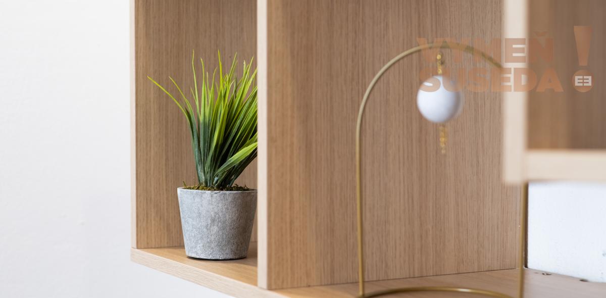 VYMEŇ SUSEDA! - VÝNIMOČNÝ TEHLOVÝ 3 IZB. BYT, PRIEVOZSKÁ UL., BA II, RUŽINOV - NIVY.