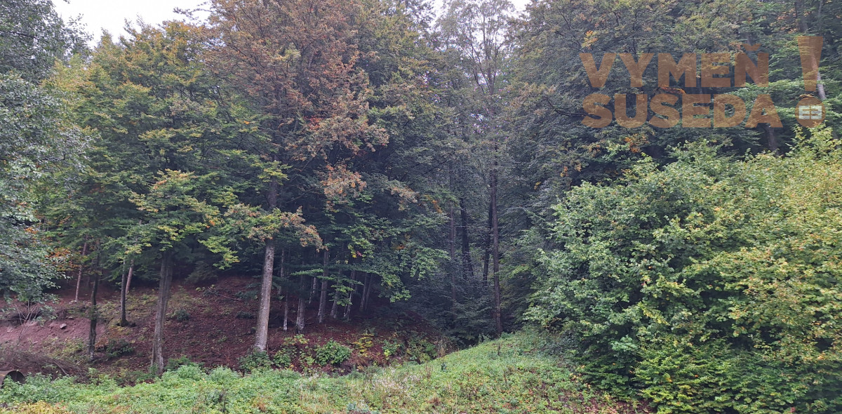 VYMEŇ SUSEDA! - VÝNIMOČNÁ 4 IZB. CHATA - NOVOSTAVBA s úžasnou atmosférou, TÁLE – NÍZKE TATRY, BYSTRÁ.