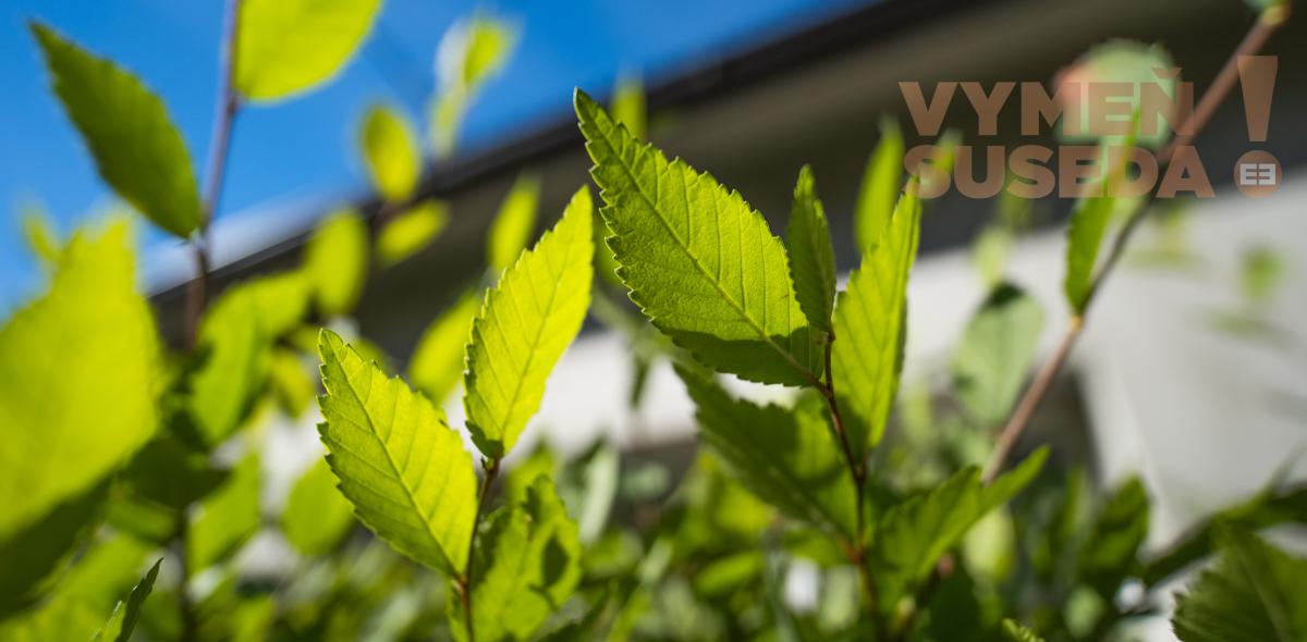 VYMEŇ SUSEDA! – PONÚKAME NA PREDAJ VÝNIMOČNÝ RODINNÝ DOM PRI KOSTOLE a ZÁMOCKÉHO PARKU, KALVÁRSKA UL., STUPAVA .