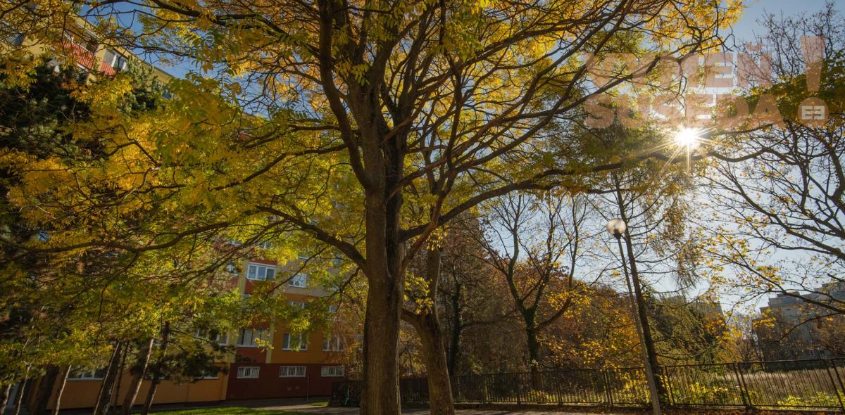 VYMEŇ SUSEDA! - VÝNIMOČNÝ 3 IZB. BYT, VYHĽADÁVANÁ LOKALITA PETRŽALKA, BZOVÍCKA UL., BA V.