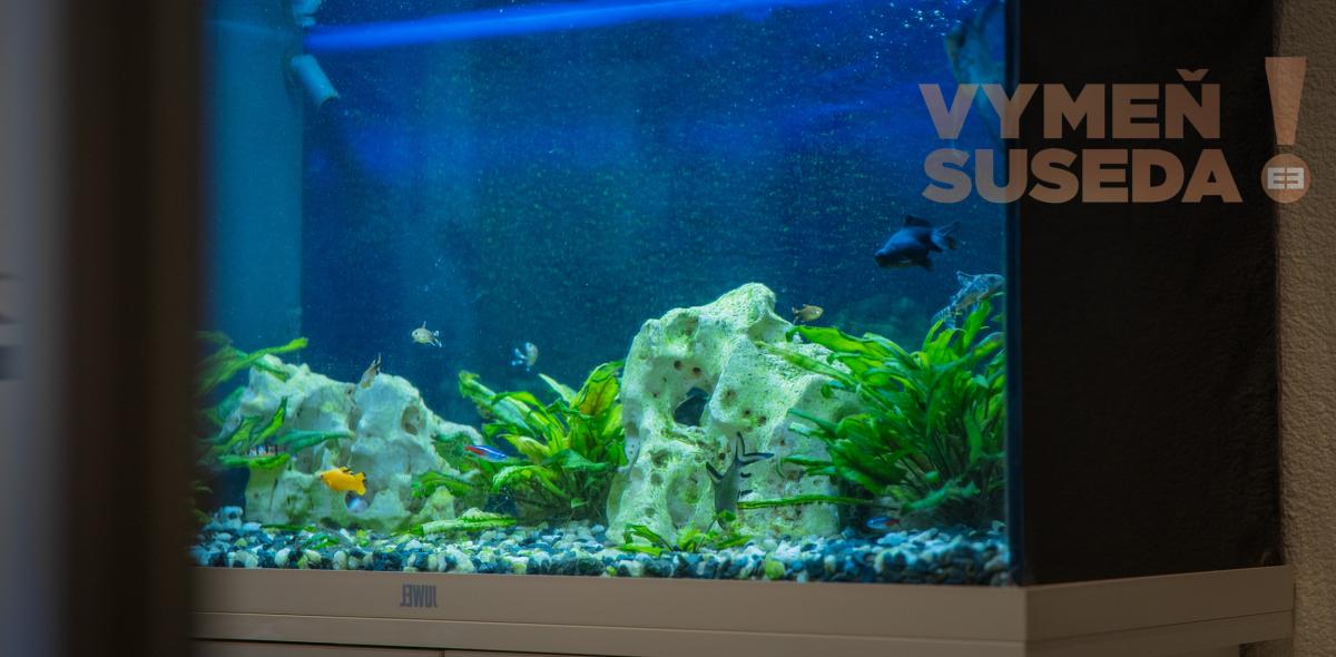 VYMEŇ SUSEDA! - VÝNIMOČNÝ 3 IZB. KOMPLETNE ZREKONŠTRUOVANÝ BYT s BALKÓNOM, VYHĽADÁVANÁ LOKALITA RUŽINOV, HABURSKÁ UL., BA II.