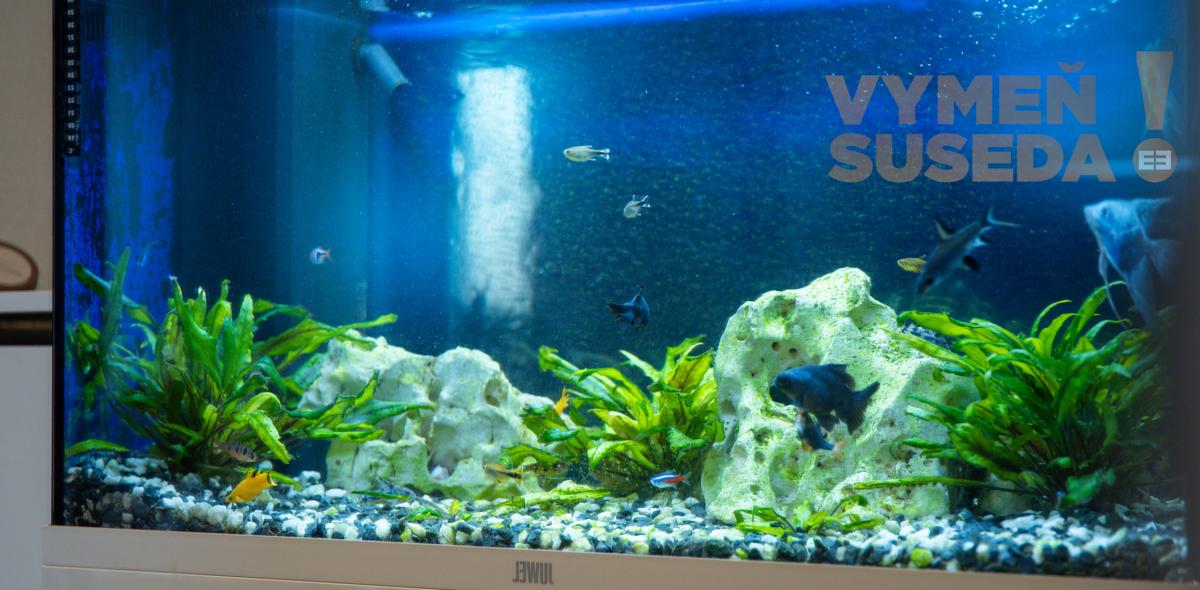 VYMEŇ SUSEDA! - VÝNIMOČNÝ 3 IZB. KOMPLETNE ZREKONŠTRUOVANÝ BYT s BALKÓNOM, VYHĽADÁVANÁ LOKALITA RUŽINOV, HABURSKÁ UL., BA II.