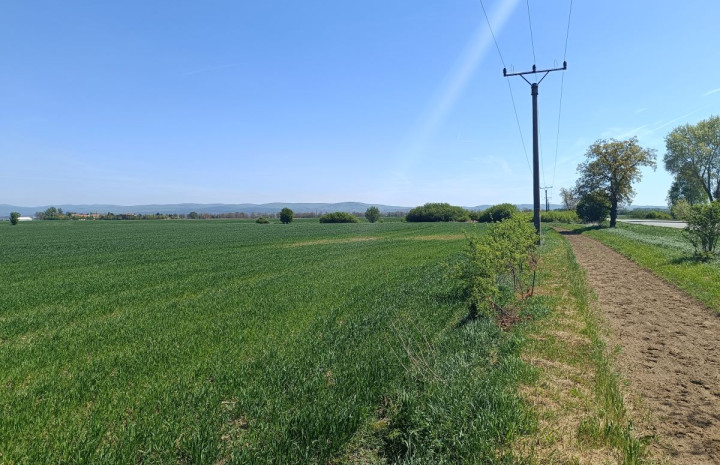 VYMEŇ SUSEDA! -  Predaj investičného pozemku – Vysoká pri Morave, 20 030 m².